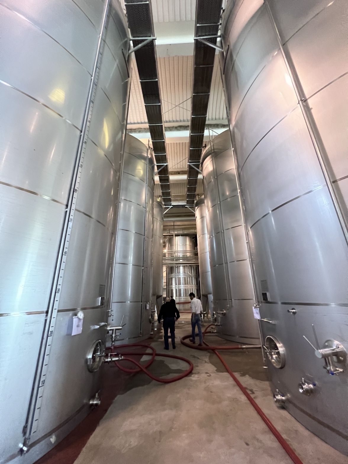 Corridoio tra le vasche in acciaio inox di una cantina